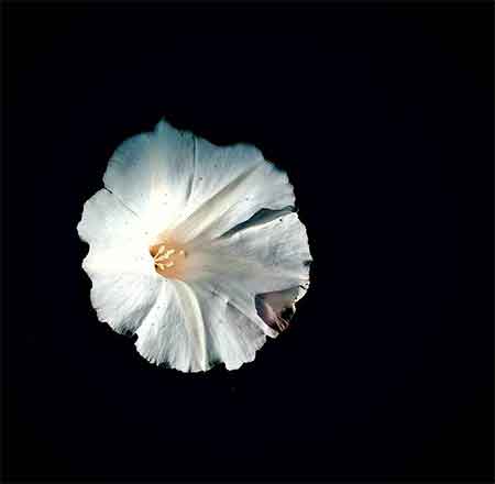 دانلود آهنگ بلاک حسین عامری